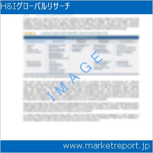 市場と産業調査レポートのイメージ